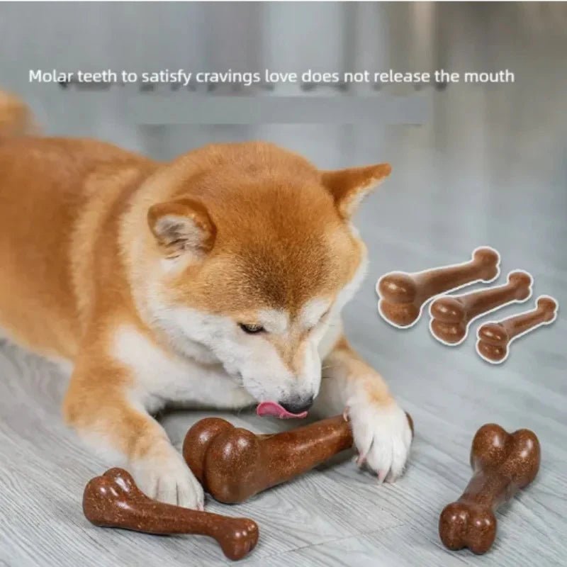 Durable Dog Bone Chew Toy - Image 2
