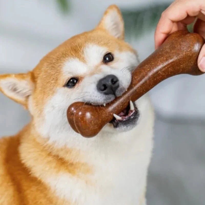 Durable Dog Bone Chew Toy - Image 4