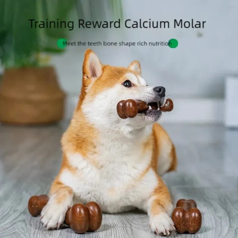Durable Dog Bone Chew Toy - Image 3