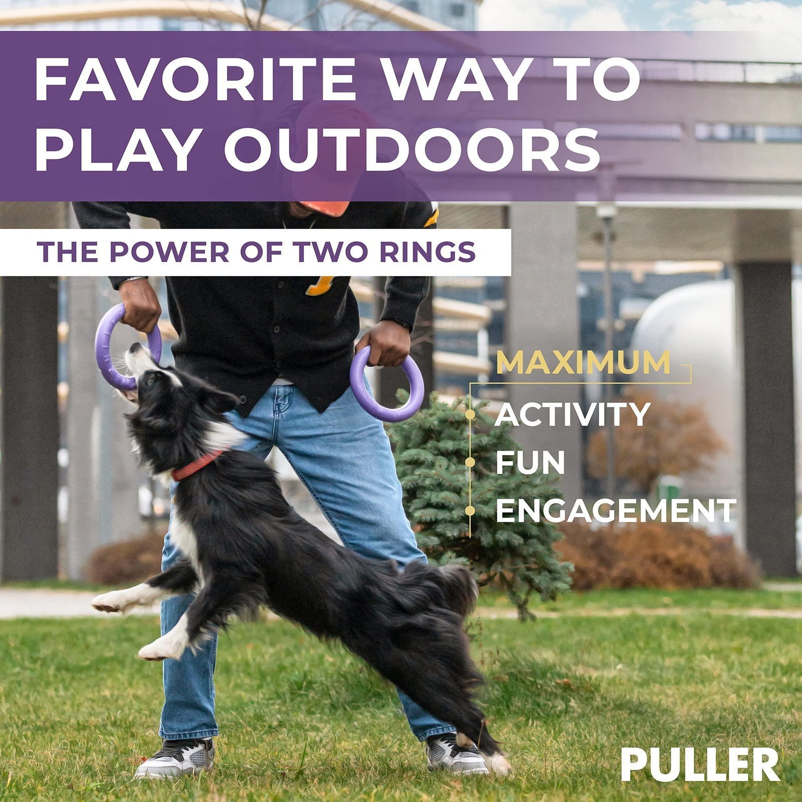 Puller Dog Ring Toy, 2 Rings - Image 4