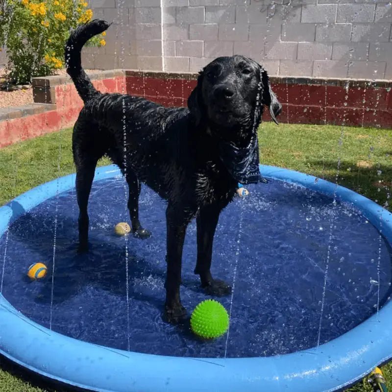 Splash and Groom Bundle - Image 9